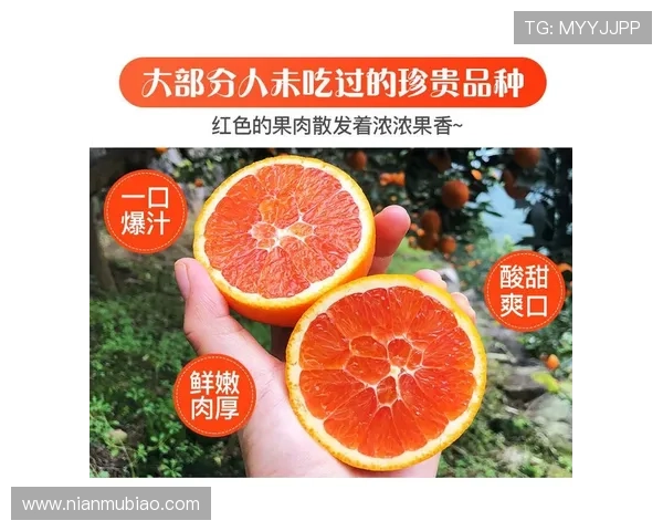 马洛塔释博德之困非借口信劳塔